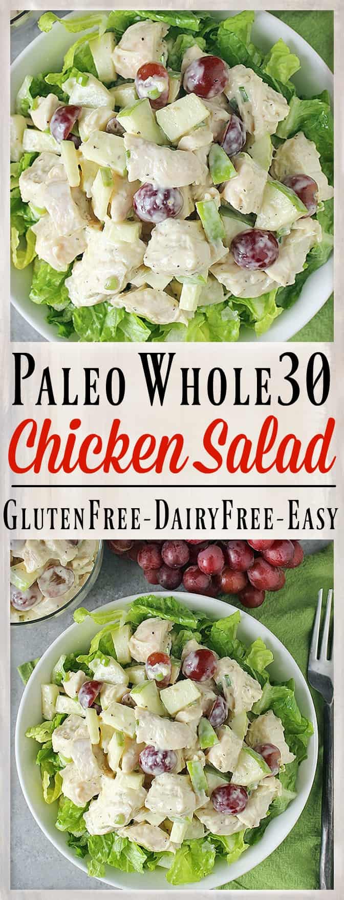 Paleo Whole30 Chicken Salad - Jay's Baking Me Crazy